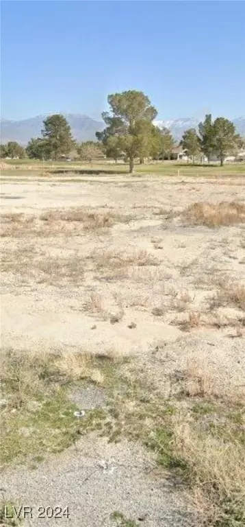 3141 Burning Tree Ct, Pahrump, NV 89048