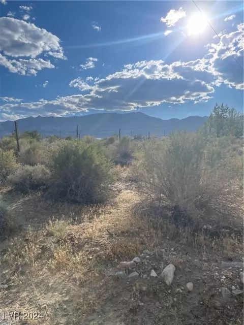 255 S Baker Ave, Other, NV 89311