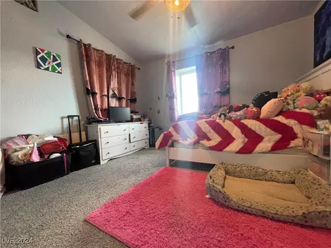 860 Minnesota Ave, Ely, NV 89301 photo 18