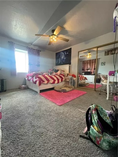 860 Minnesota Ave, Ely, NV 89301 photo 16