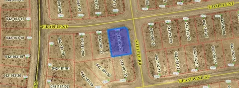 2451 E Dapple St, Pahrump, NV 89048
