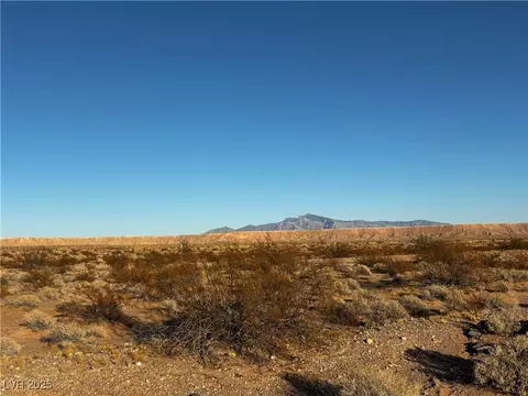 Lou, Overton, NV 89040 photo 3