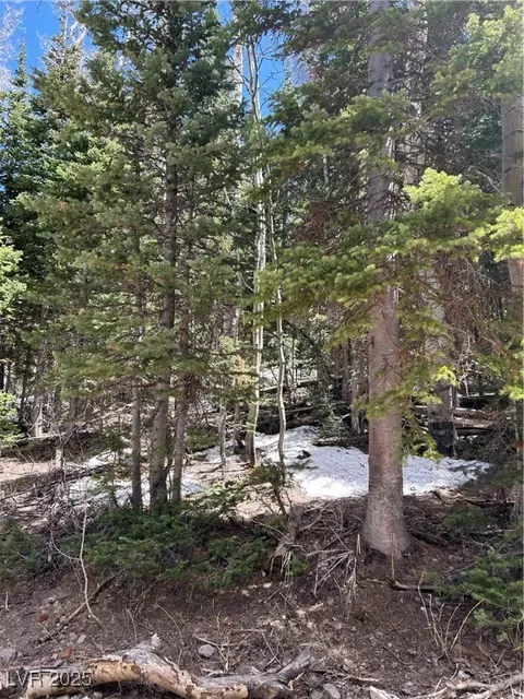 380 N Forest Dr, Brian Head, UT 84719 photo 6