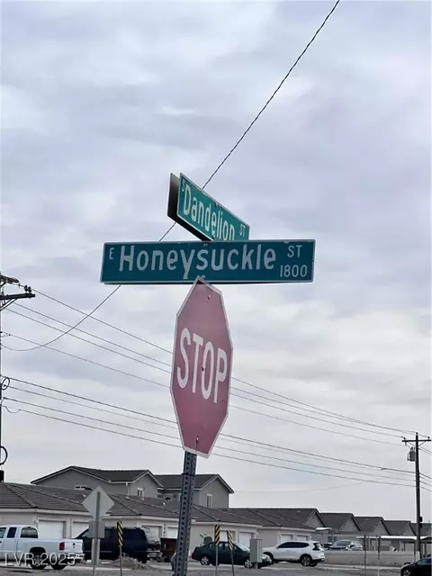 1290 E Honeysuckle St, Pahrump, NV 89048