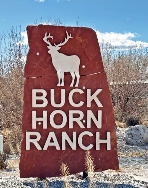 2100 Buckhorn Rd, Alamo, NV 89001