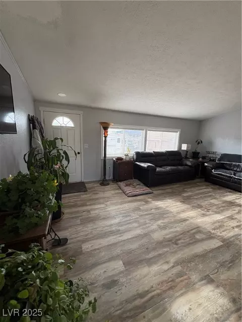 540 E 46th South St, Ely, NV 89301 photo 5