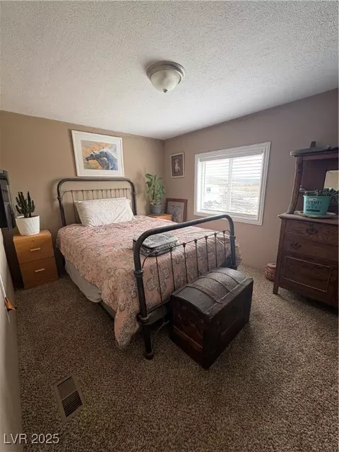 540 E 46th South St, Ely, NV 89301 photo 20