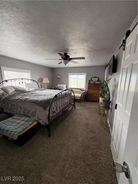 540 E 46th South St, Ely, NV 89301 photo 11