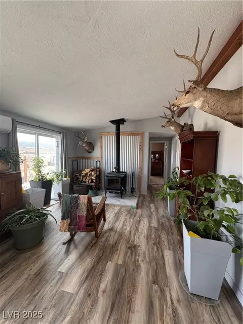 540 E 46th South St, Ely, NV 89301 photo 14