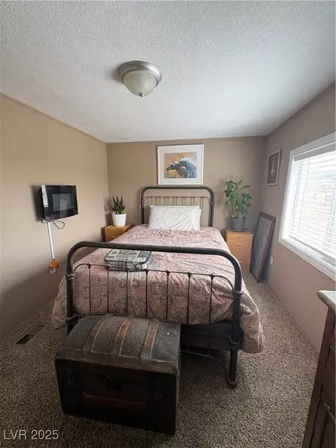 540 E 46th South St, Ely, NV 89301 photo 19