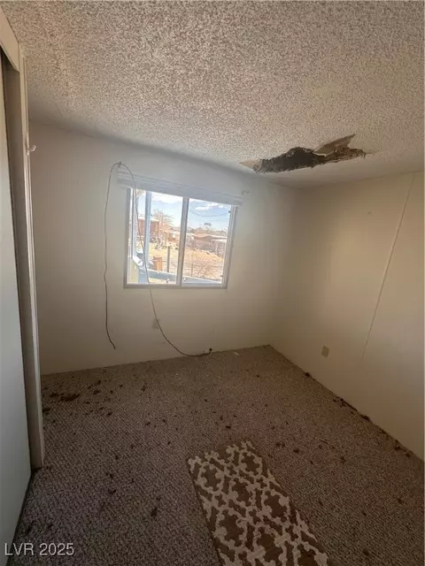 391 E Hill St, Searchlight, NV 89046 photo 19