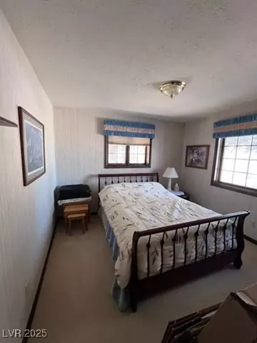 210 E Madison Ave, Ely, NV 89301 photo 17