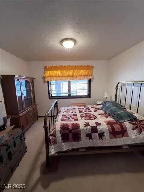 210 E Madison Ave, Ely, NV 89301 photo 19