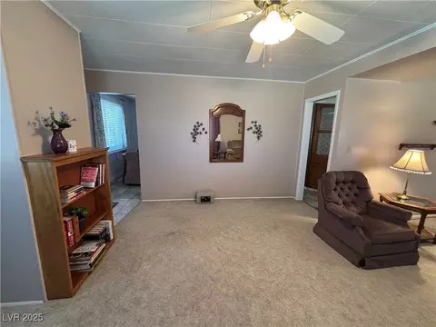 265 S 1st East St, Other, NV 89317 photo 11