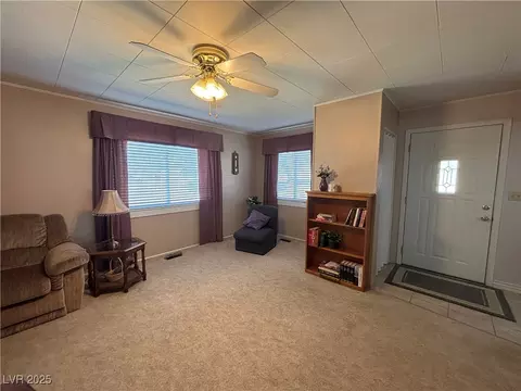 265 S 1st East St, Other, NV 89317 photo 10