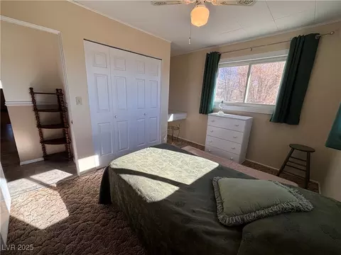 265 S 1st East St, Other, NV 89317 photo 24