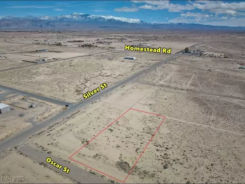 10041 S Oscar St, Pahrump, NV 89048