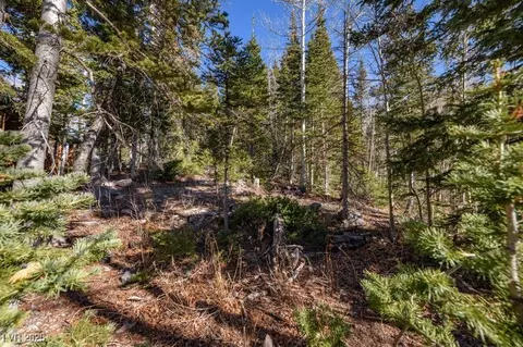 271 E Deer Trl, Brian Head, UT 84719 photo 3