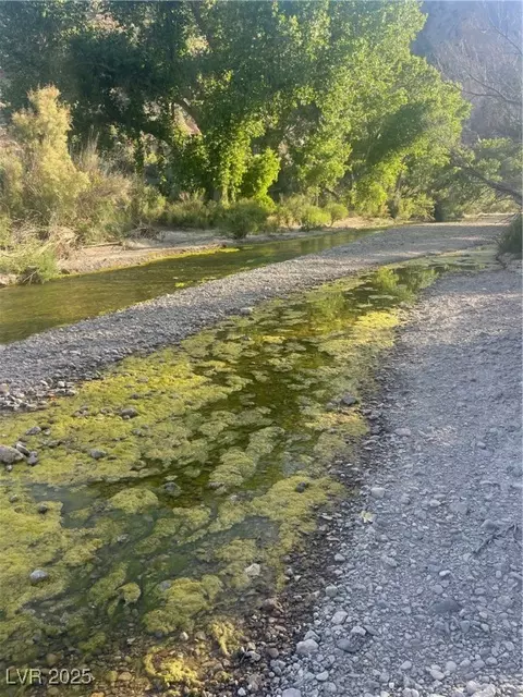 Carp Road, Caliente, NV 89008 photo 36