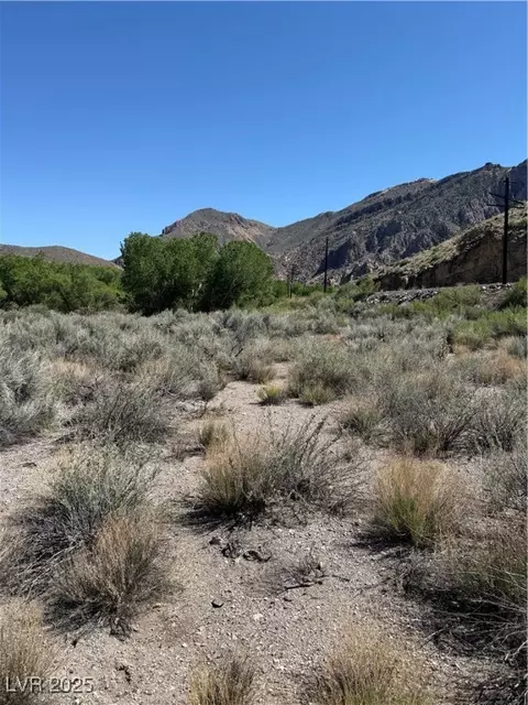 Carp Road, Caliente, NV 89008 photo 21