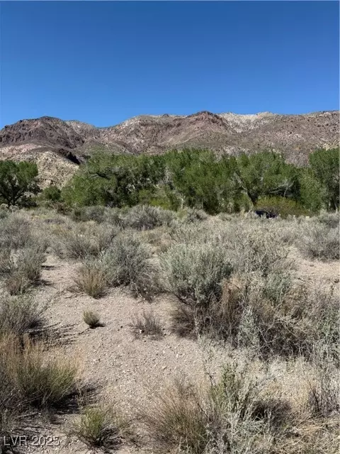 Carp Road, Caliente, NV 89008 photo 25
