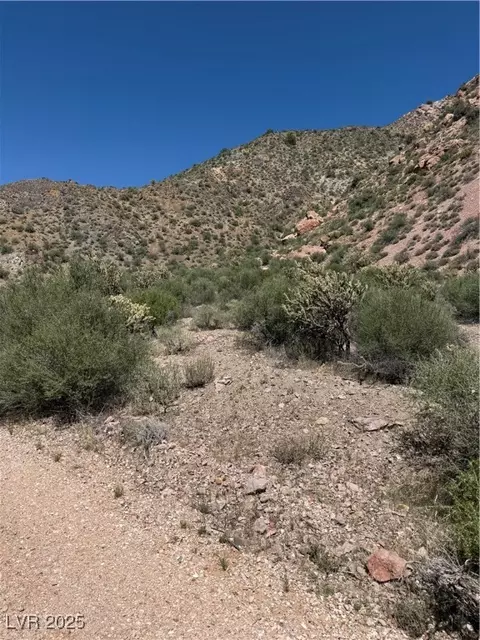 Carp Road, Caliente, NV 89008 photo 11