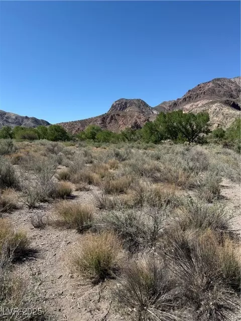 Carp Road, Caliente, NV 89008 photo 24