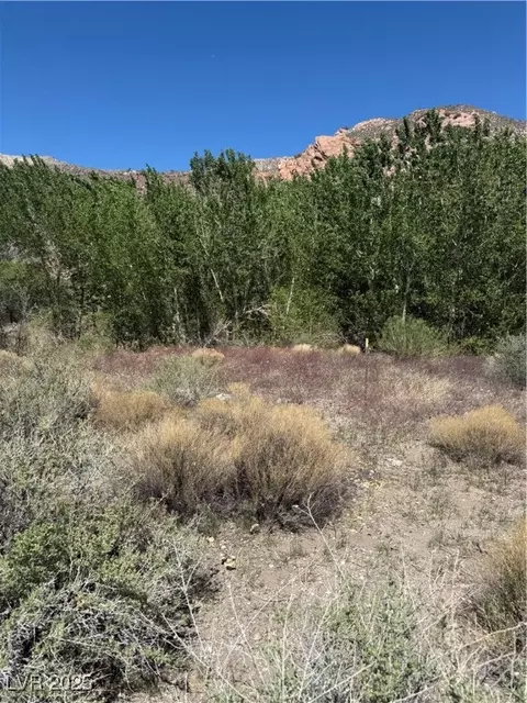 Carp Road, Caliente, NV 89008 photo 27