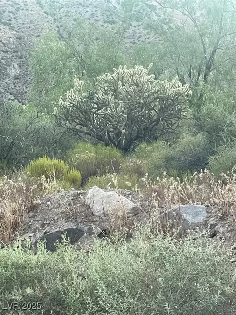 Carp Road, Caliente, NV 89008 photo 43
