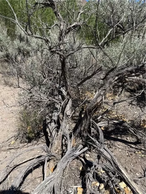 Carp Road, Caliente, NV 89008 photo 26