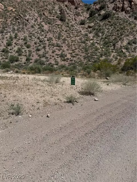 Carp Road, Caliente, NV 89008 photo 18