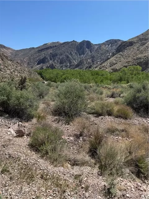 Carp Road, Caliente, NV 89008 photo 14
