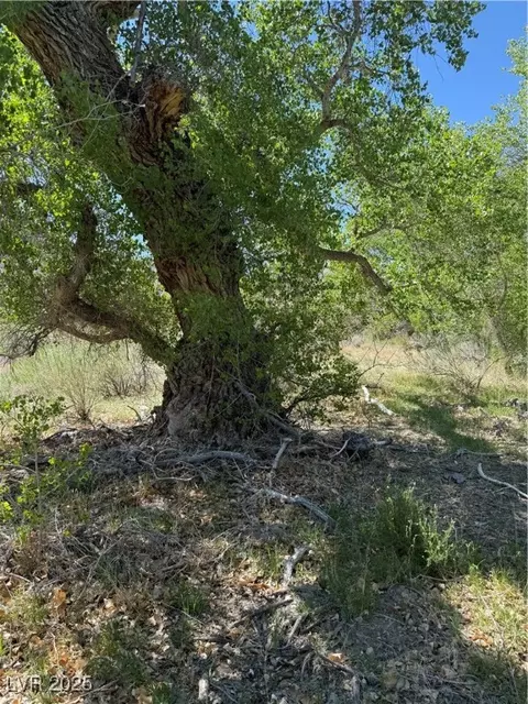 Carp Road, Caliente, NV 89008 photo 30