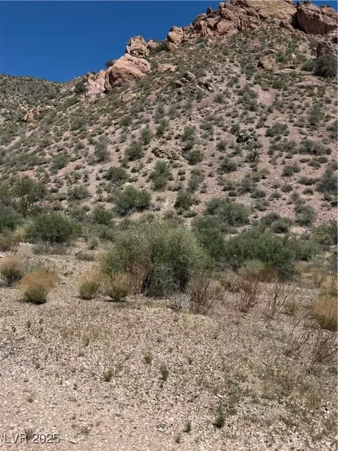 Carp Road, Caliente, NV 89008
