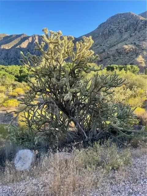 Carp Road, Caliente, NV 89008 photo 42