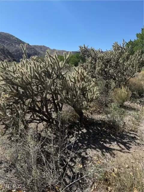 Carp Road, Caliente, NV 89008 photo 33