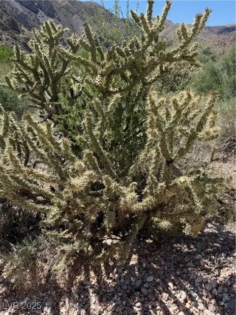 Carp Road, Caliente, NV 89008 photo 10