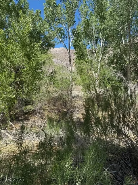 Carp Road, Caliente, NV 89008 photo 31
