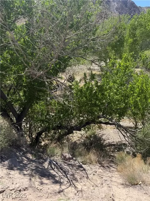 Carp Road, Caliente, NV 89008 photo 7