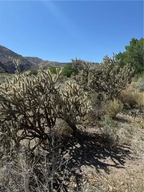 Carp Road, Caliente, NV 89008 photo 32