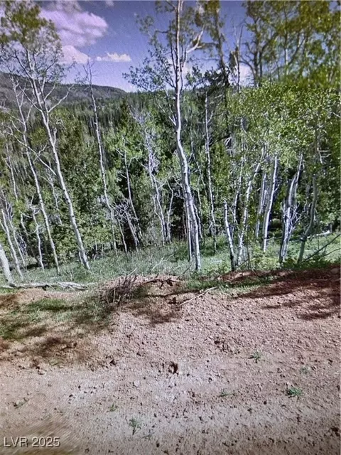 524 W Ski View Dr, Brian Head, UT 84719