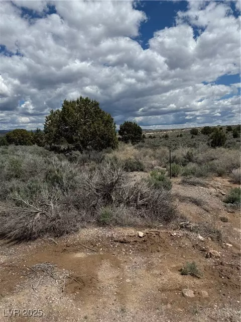 Aspen, Pioche, NV 89043 photo 4