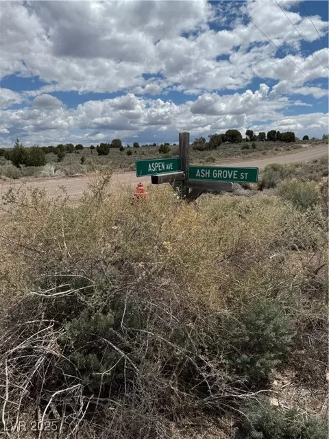 Aspen, Pioche, NV 89043 photo 3