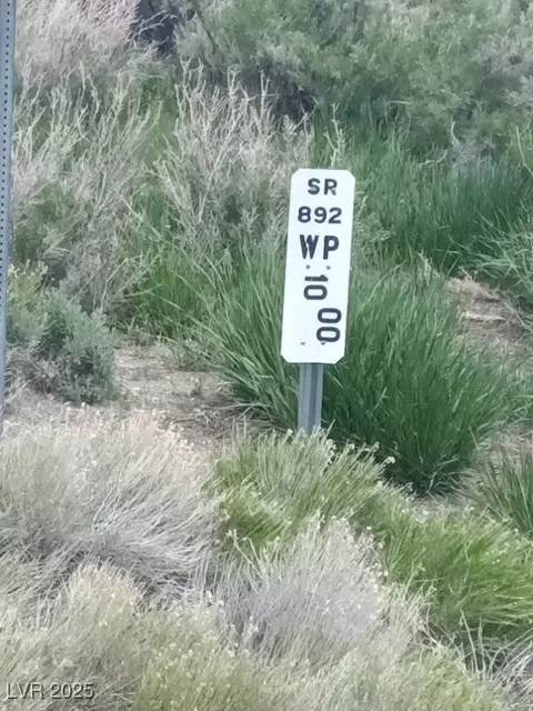 Sr 892 To Newark Valley, Ely, NV 89301 photo 9