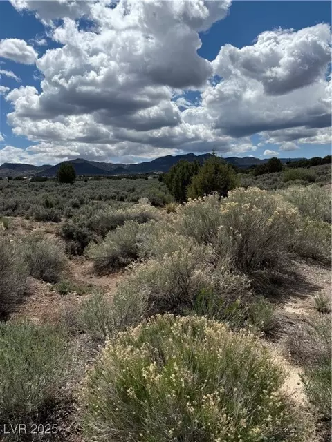 Hickory, Pioche, NV 89043 photo 14