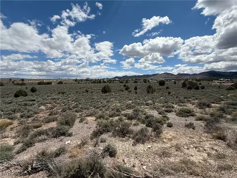 Hickory, Pioche, NV 89043