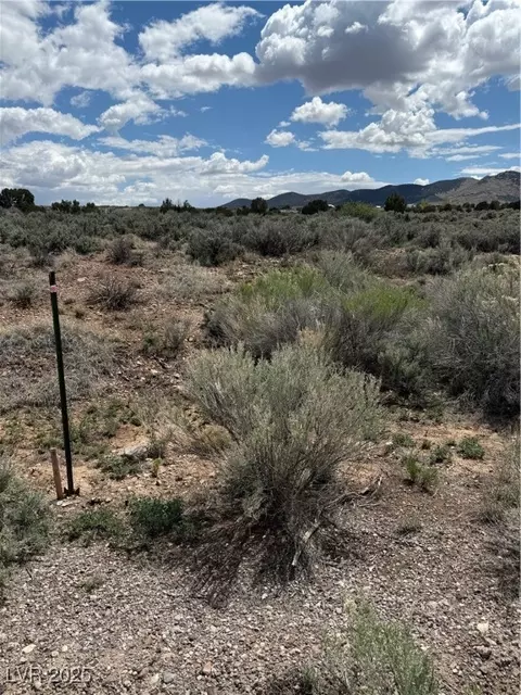 Hickory, Pioche, NV 89043 photo 11