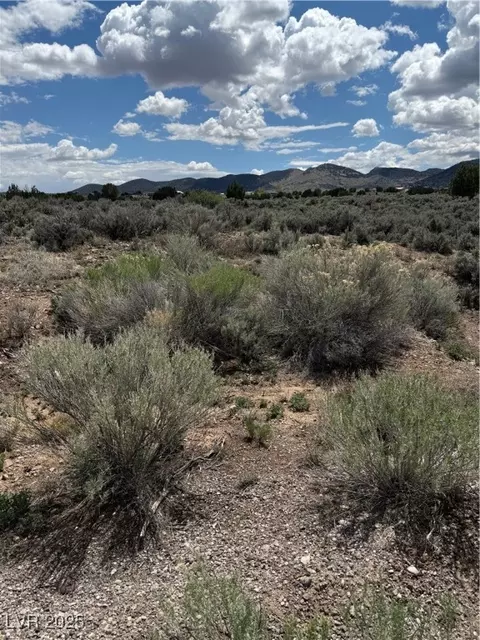Hickory, Pioche, NV 89043 photo 12