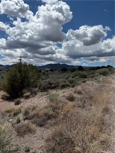 Hickory, Pioche, NV 89043 photo 15