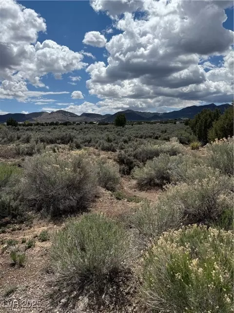 Hickory, Pioche, NV 89043 photo 13